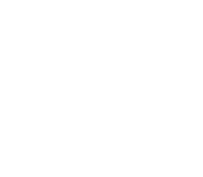 PT Dienstleistungen