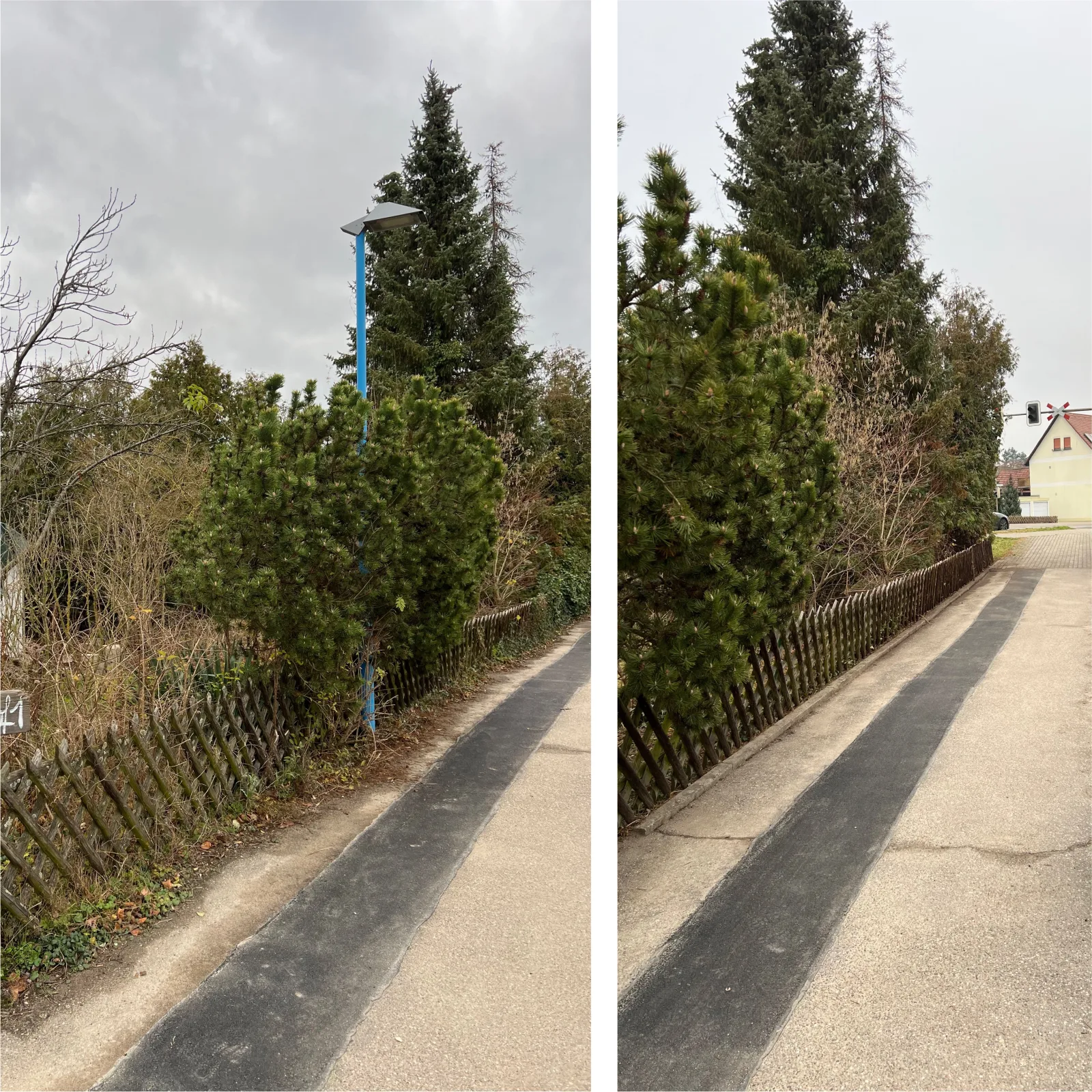 Heckenschnitt an einem Gehweg